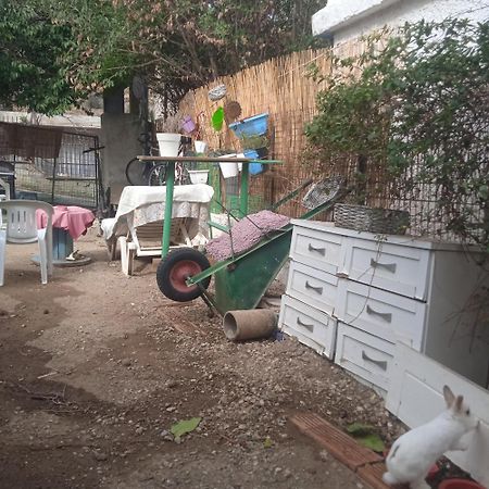 Το Μικρό Σπίτι Στη Φάρμα! Appartement Acharnes Buitenkant foto