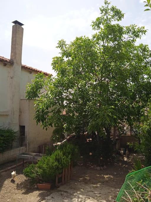 Το Μικρό Σπίτι Στη Φάρμα! Appartement Acharnes Buitenkant foto