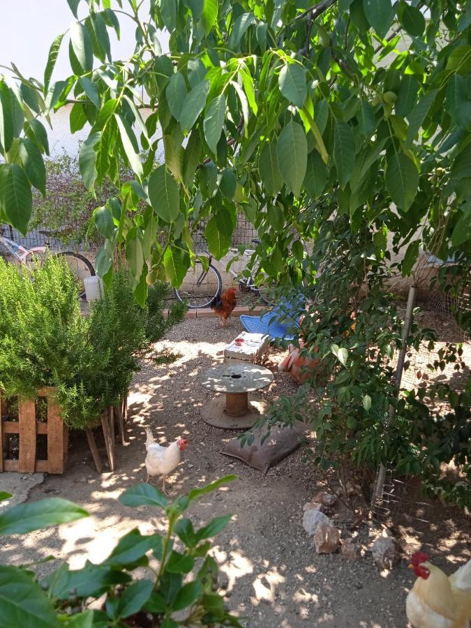 Το Μικρό Σπίτι Στη Φάρμα! Appartement Acharnes Buitenkant foto